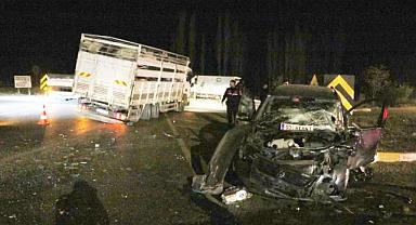 Hafif ticari araç ile koyun yüklü kamyon çarpıştı 2 gurbetçi vatandaş yaralandı