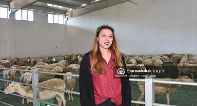 Kadın girişimci devlet desteğiyle koyun çiftliği kurdu