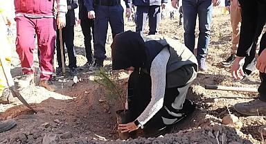 Kaymakam Zeliha Uz Akarca Köyünde Fidan Dikti