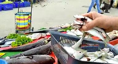 SEZON AÇILMASI İLE BALIKLAR TEZGAHDAKİ YERİNİ ALDI..