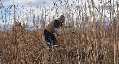 Göl kenarındaki kamışlar geçim kaynakları oldu
