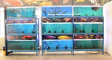 JEOTERMAL BALIKLARIMIZ SATIŞA HAZIR