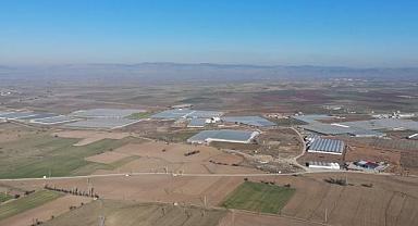 Afyonkarahisar'da artan jeotermal sera yatırımları ülke ekonomisine katkı sağlıyor