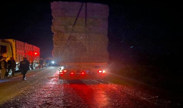 Afyonkarahisar'da tırın dorsesinden düşen saman balyalarına çarpan 2 araçtaki 6 kişi yaralandı