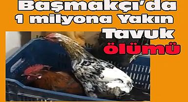 Başmakçı'da 1 Milyon Tavuğun Öldüğü Öne Sürüldü