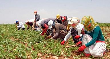 Mevsimlik tarım işçilerinin ortalama günlük ücretleri 2022 yılında %87,1 arttı