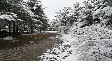 Afyonkarahisar'da kar etkili oluyor