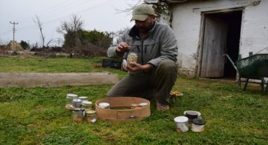 Aydınlı üreticiler, deprem bölgesine fide gönderecek