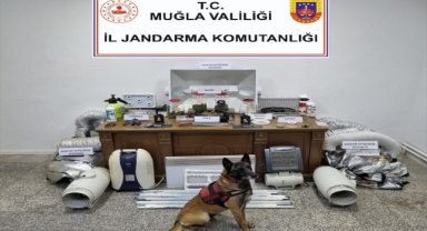 Bodrum'da evinde uyuşturucu imal ettiği tespit edilen şüpheli gözaltına alındı