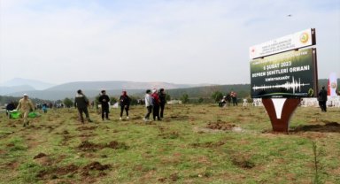 Depremde hayatını kaybedenler için İzmir'de hatıra ormanı oluşturuldu