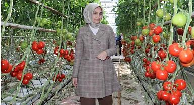 Depremin Yaraları Tarım Sektöründe de Sarılıyor