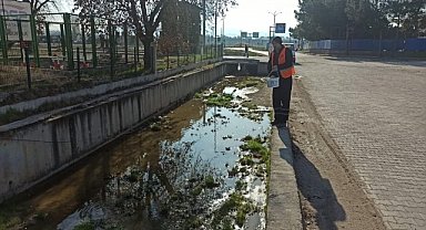 Gediz'de larva öncesi ilaçlama çalışması başlatıldı