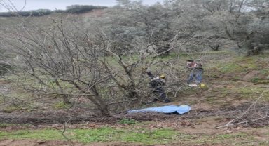 Manisa'da bir kişi bahçesinde ölü bulundu