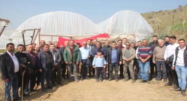 Manisa'da serada yetişen üzüm mayısta hasat edilecek