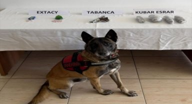 Muğla'da uyuşturucu operasyonunda yakalanan şüpheli tutuklandı