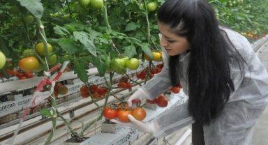 Sandıklı'dan kısa kısa 