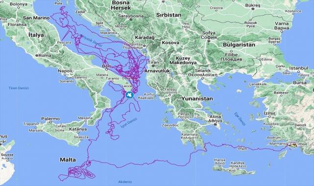 Uydu takibinde izlenen "Caretta Caretta Tuba" 20 bin kilometre yol gitti