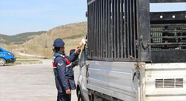 Afyonkarahisar'da trafik denetimleri