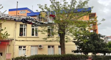 Bayındır'da ağaçta mahsur kalan kediyi itfaiye kurtardı