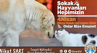 Belediye Başkanı Nihat Sarı’dan Sokak Hayvanları Günü Mesajı 