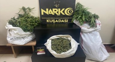 Kuşadası'nda evinde uyuşturucu yetiştiren kişi gözaltına alındı