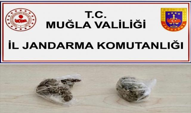 Muğla'da uyuşturucu operasyonlarında 2 şüpheli gözaltına alındı