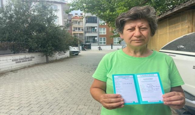 Dalaman'da otomobilin çarptığı yavru köpek telef oldu