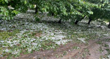 İzmir ve Denizli'de dolu yağışı etkili oldu