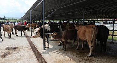 Afyonkarahisar'da hayvan pazarlarında hareketlilik başladı