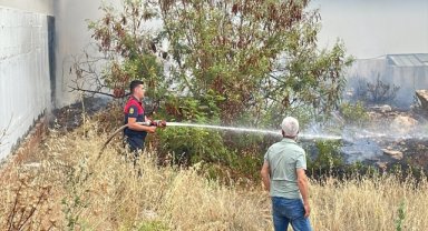 Bodrum'da otluk alanda çıkan yangın söndürüldü