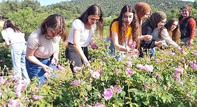 Gül tarlalarında foto safari