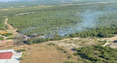 İzmir'de çıkan orman yangını kontrol altına alındı