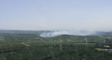 İzmir'de çıkan orman yangınına müdahale ediliyor