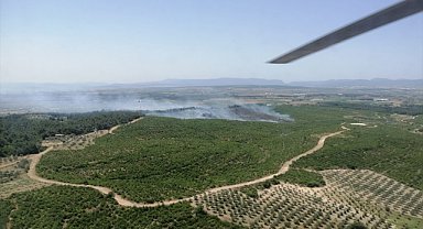 İzmir'de çıkan orman yangını kontrol altına alındı