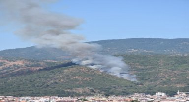 Marmaris'te orman yangını başladı