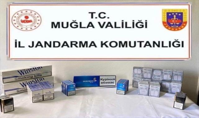 Muğla'da kaçakçılık operasyonunda bir şüpheli yakalandı