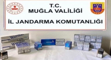 Muğla'da kaçakçılık operasyonunda bir şüpheli yakalandı