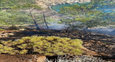 Muğla'da ormanlık alanda çıkan yangın söndürüldü