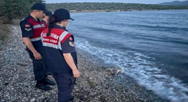 Muğla'da yaralı bulunan deniz kaplumbağası tedaviye alındı