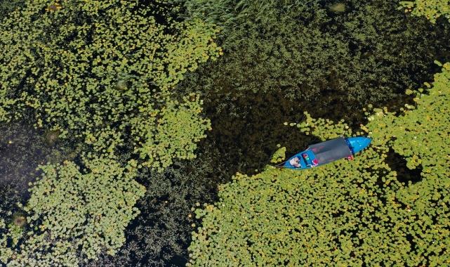 Nilüferlerle kaplı Işıklı Gölü, Denizli'nin yeni turizm destinasyonu olma yolunda