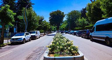 Afyonkarahisar Belediyesinin peyzaj ve çiçekleme çalışmaları sürüyor