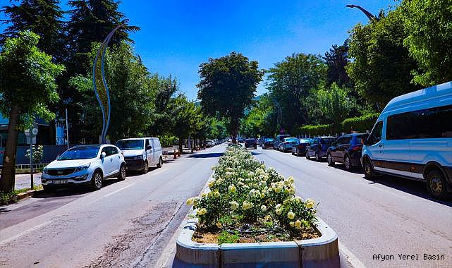 Afyonkarahisar Belediyesinin peyzaj ve çiçekleme çalışmaları sürüyor
