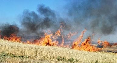 Afyonkarahisar'ın iki ilçesinde tarım arazilerinde çıkan yangınlar söndürüldü
