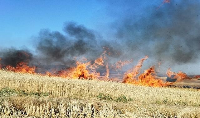 Afyonkarahisar'ın iki ilçesinde tarım arazilerinde çıkan yangınlar söndürüldü