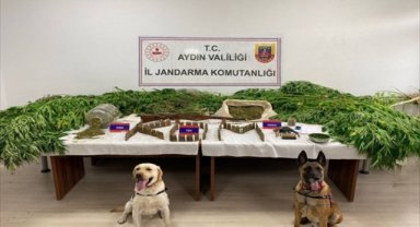 Aydın'da son 6 ayda jandarmanın uyuşturucu operasyonlarında 86 kişi tutuklandı