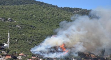 GÜNCELLEME - İzmir'in Kemalpaşa ilçesinde orman yangını çıktı