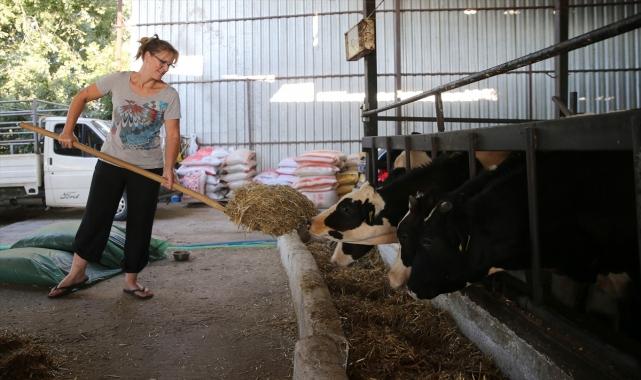 İngiliz gelin, aşkı için yerleştiği Aydın'da hayvancılığa başladı
