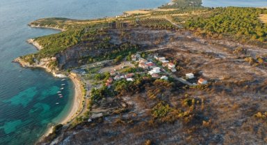 İzmir Aliağa'daki orman yangını kontrol altına alındı
