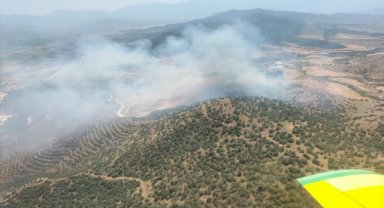 İzmir'de tarlada başlayan ve bozuk ormana sıçrayan yangına müdahale ediliyor