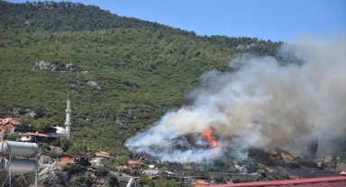 İzmir'in Kemalpaşa ilçesinde orman yangını çıktı